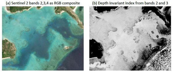 Example depth invariant index generation from bands 2 and 3 of a Sentinel 2 image of
Lizard Island. Note in (b) how the sand area looks homogenous across shallow areas and the
deep lagoons, coral areas appear dark. Very deep water where the bottom cannot be seen
becomes noise (bottom right hand corner).