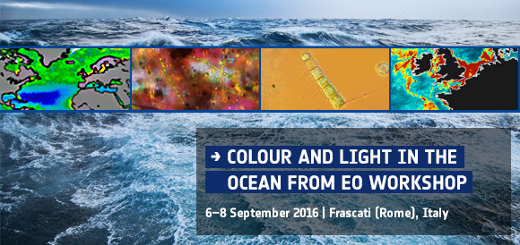 Colour and Light in the Ocean from Earth Observation